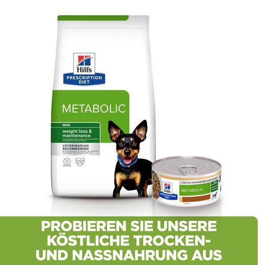 Hills Canine Metabolic Mini Ragout in Dosen für Hunde