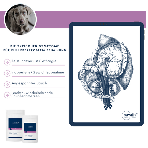 Navalis Heparal Dog für Hunde bei Lebererkrankungen Navalis Heparal Dog für Hunde bei Lebererkrankungen