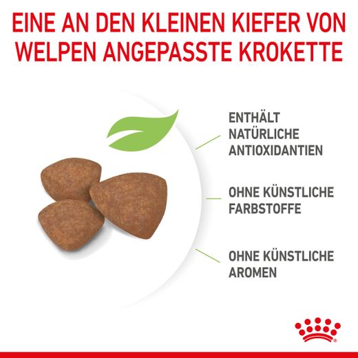 Royal Canin Mini Puppy Trockenfutter für Welpen kleiner Hunderassen