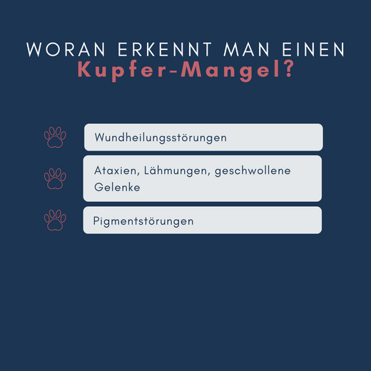 Navalis Orthosal Kupfer Dog Hund