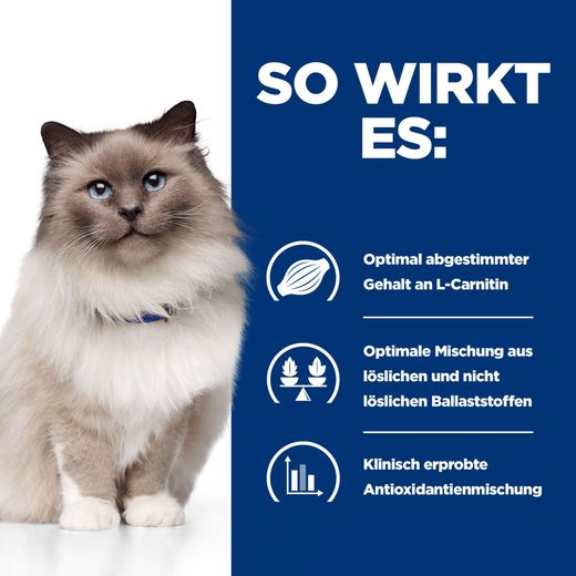 Hills Feline r/d Trockenfutter für Katzen