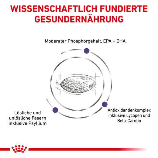 Royal Canin Mature Consult Balance Trockenfutter für Katzen