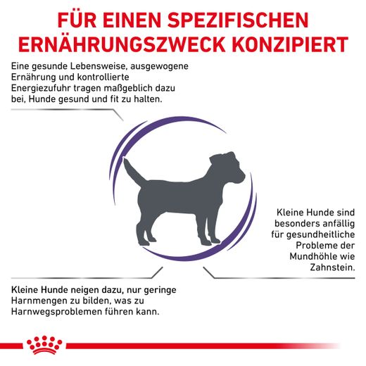 Royal Canin Adult Small Dogs Trockenfutter für Hunde