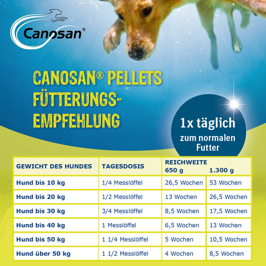 Canosan Hund mit Gonex von Boehringer Ingelheim