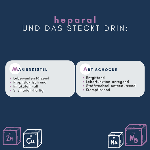 Navalis Heparal Dog für Hunde bei Lebererkrankungen Navalis Heparal Dog für Hunde bei Lebererkrankungen