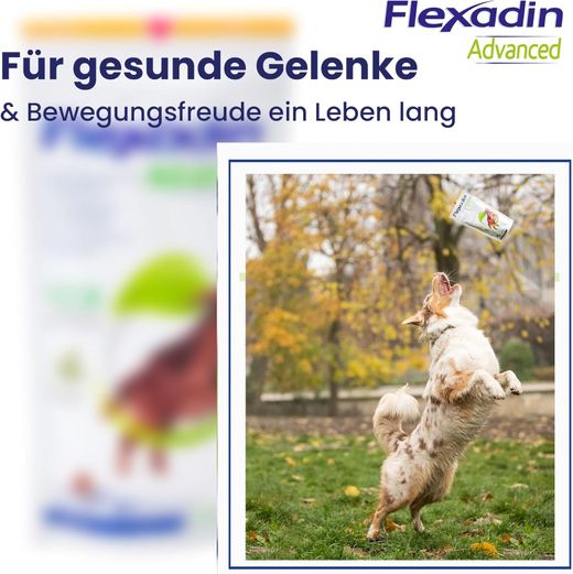 Vetoquinol Flexadin Advanced Hund Vetoquinol Flexadin Advanced Hund