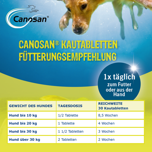 Canosan Hund mit Gonex von Boehringer Ingelheim