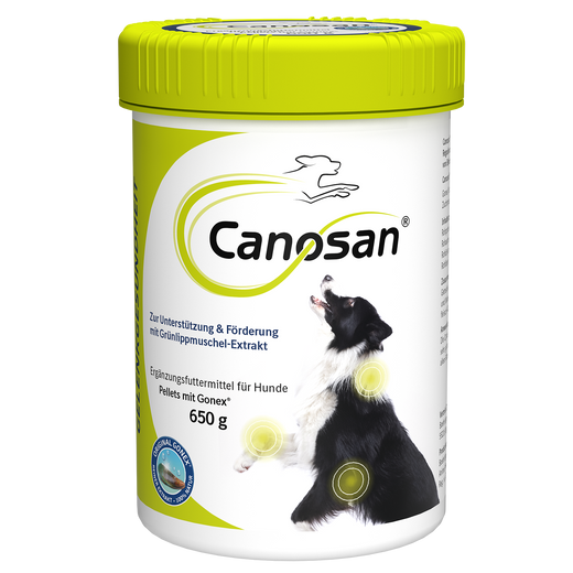 Canosan Hund mit Gonex von Boehringer Ingelheim