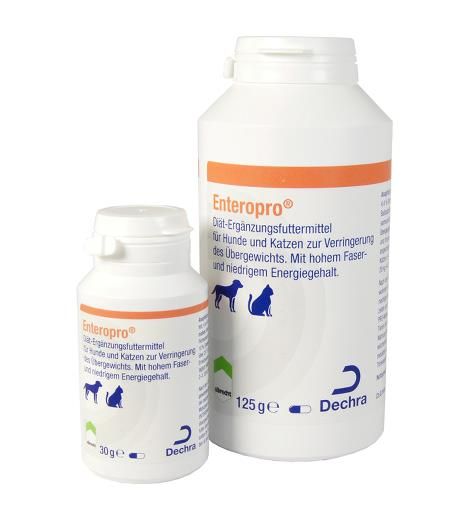 Dechra Enteropro für Hunde und Katzen