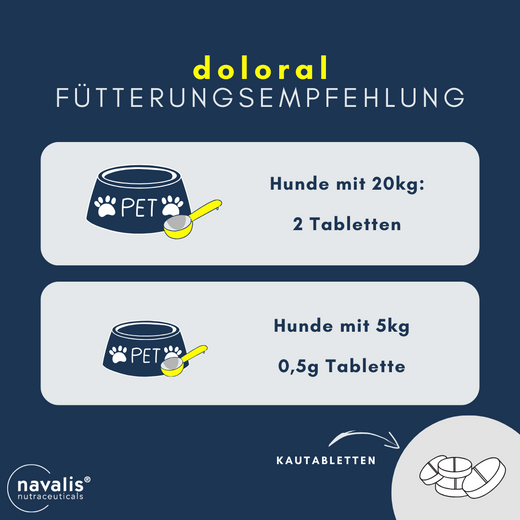 Navalis Doloral Dog
