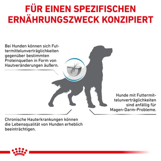 Royal Canin Hypoallergenic Trockenfutter für Hunde