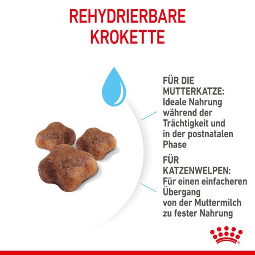 Royal Canin Mother & Babycat Trockenfutter für Katzen