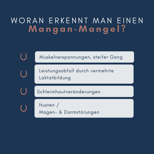 Navalis Orthosal Mangan Horse für Pferde