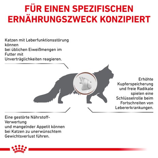 Royal Canin Hepatic Trockenfutter für Katzen