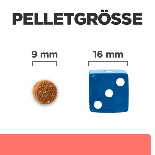 Hills ON-Care mit Huhn Trockenfutter für Katzen