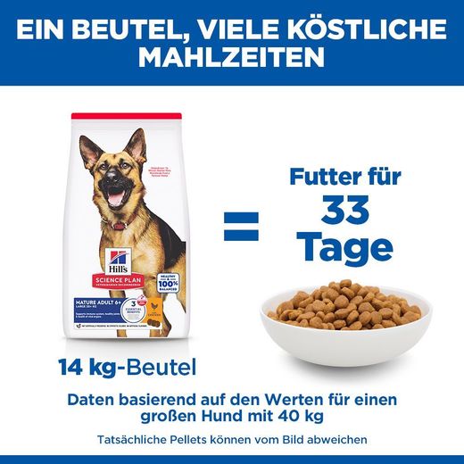 Hills Science Plan Canine Mature Adult 6+ Large Breed Hund Trockenfutter