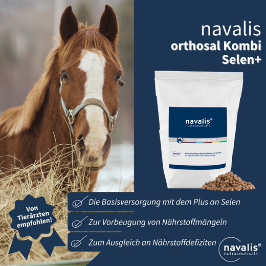 Navalis Orthosal® Kombi + Selen Horse für Pferde