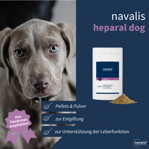 Navalis Heparal für Hunde bei Lebererkrankungen