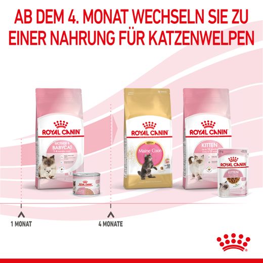 Royal Canin Mother & Babycat Ultra Soft Mousse Dosen für Katzen