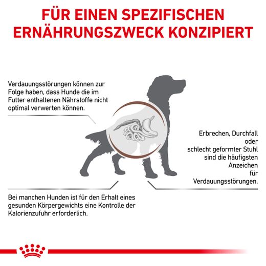 Royal canin gastro intestinal moderate best sale calorie hund 14 kg