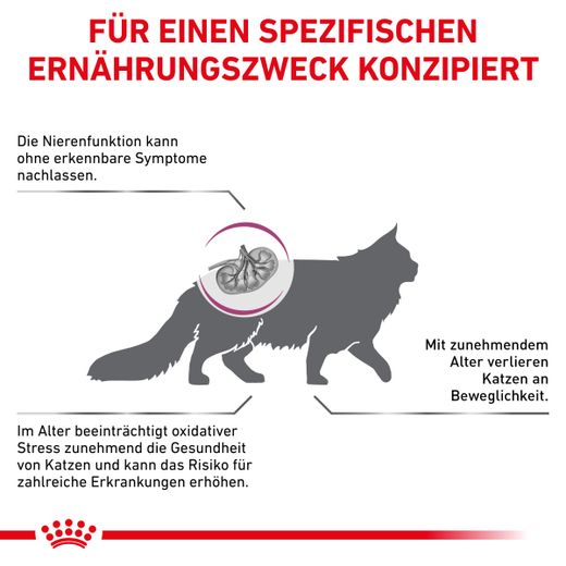Royal Canin Early Renal Trockenfutter für Katzen