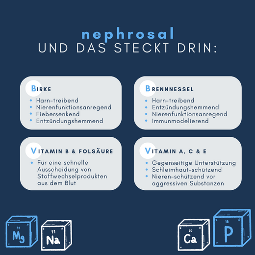 Navalis Nephrosal Dog für Hunde Navalis Nephrosal Dog für Hunde