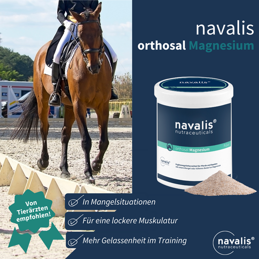 Navalis Orthosal Magnesium Horse für Pferde