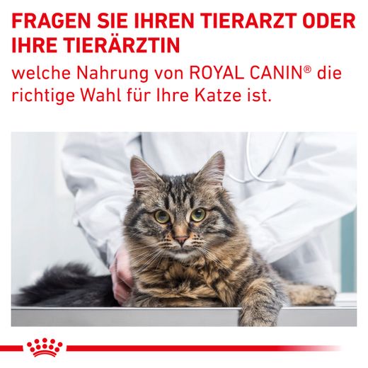Royal Canin Gastrointestinal Fibre Response Katze Royal Canin Gastrointestinal Fibre Response Katze