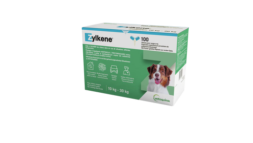 Zylkene für Hund und Katze gegen Stress und Angst