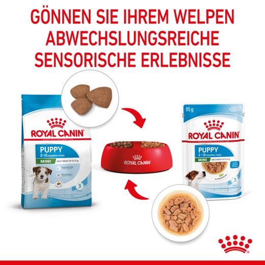 Royal Canin Mini Puppy Frischebeutel in Soße
