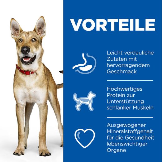 Hills Science Plan Canine Adult Performance Huhn Trockenfutter für Hunde