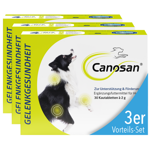 Canosan Hund mit Gonex von Boehringer Ingelheim Canosan Hund mit Gonex von Boehringer Ingelheim