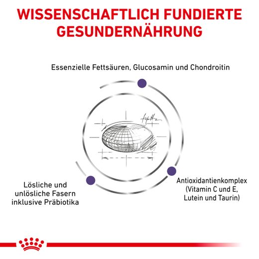 Royal Canin Adult Large Dogs Trockenfutter für Hunde