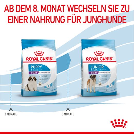 Royal Canin Gigant Puppy Trockenfutter für Welpen sehr großer Rassen Royal Canin Gigant Puppy Trockenfutter für Welpen sehr großer Rassen