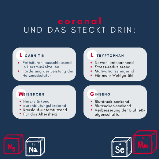 Navalis Coronal Horse