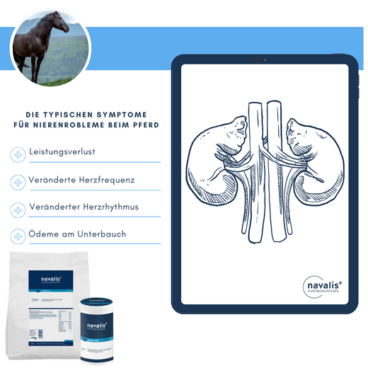 Navalis Nephrosal Horse für Pferde Navalis Nephrosal Horse für Pferde