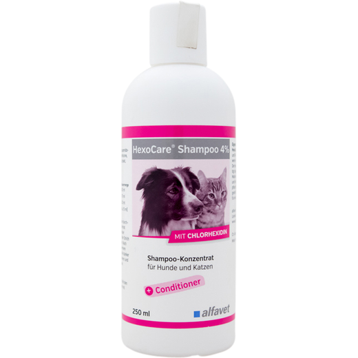 alfavet HexoCare Shampoo 4%