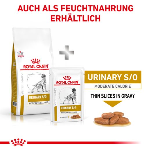 Royal Canin Urinary S/O Moderate Calorie für Hunde