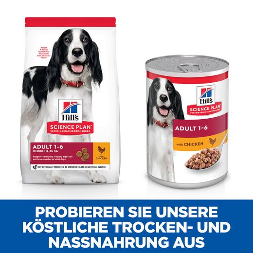 Hills Science Plan Canine Adult Huhn Dosenfutter für Hunde
