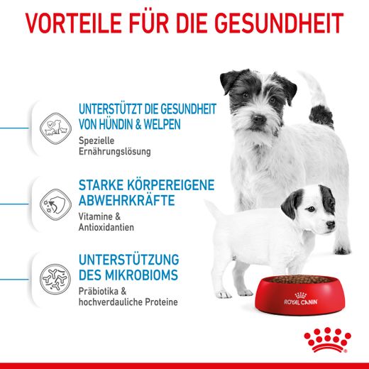 Royal Canin Mini Starter Trockenfutter Royal Canin Mini Starter Trockenfutter