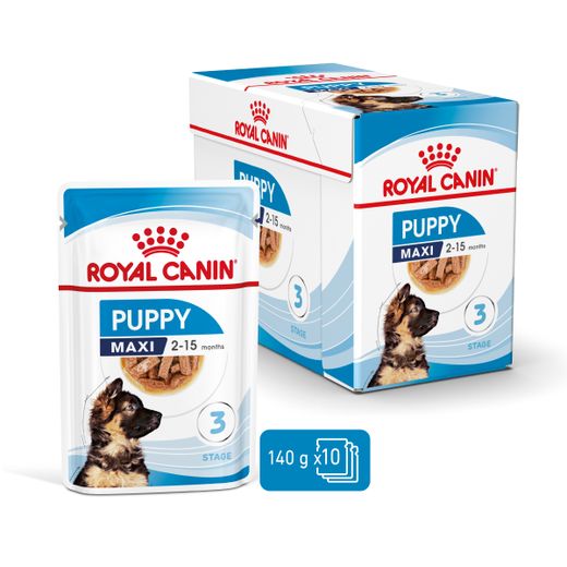 Royal Canin Maxi Puppy Frischebeutel in Soße