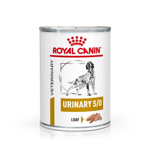 Royal Canin Urinary S/O Mousse Dosenfutter für Hunde