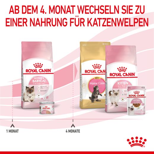 Royal Canin Mother & Babycat Trockenfutter für Katzen Royal Canin Mother & Babycat Trockenfutter für Katzen