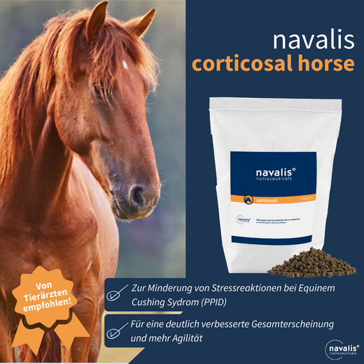 Navalis Corticosal Horse für Pferde