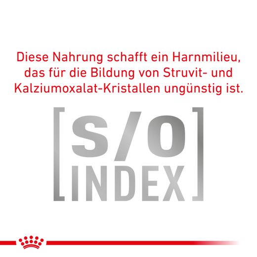 Royal Canin Mature Consult Balance Trockenfutter für Katzen Royal Canin Mature Consult Balance Trockenfutter für Katzen