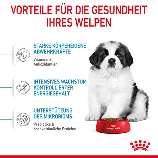 Royal Canin Gigant Puppy Trockenfutter für Welpen sehr großer Rassen Royal Canin Gigant Puppy Trockenfutter für Welpen sehr großer Rassen