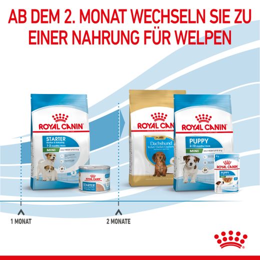 Royal Canin Mini Starter Trockenfutter Royal Canin Mini Starter Trockenfutter