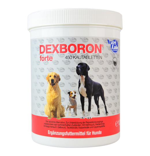 NutriLabs Dexboron forte Kautabletten für alte Hunde