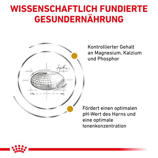 Royal Canin Urinary S/O Trockenfutter für Katzen