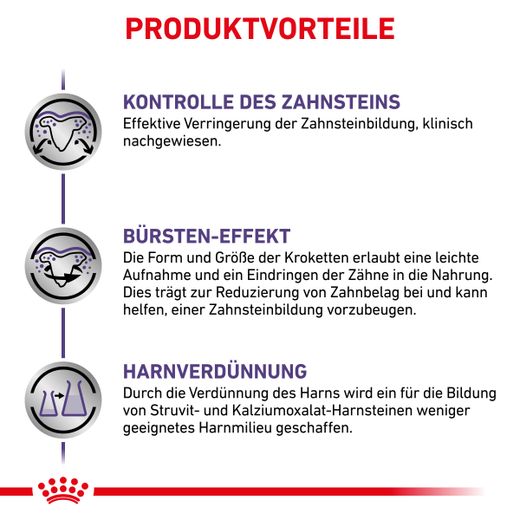 Royal Canin Dental Small Dogs Trockenfutter für Hunde Royal Canin Dental Small Dogs Trockenfutter für Hunde